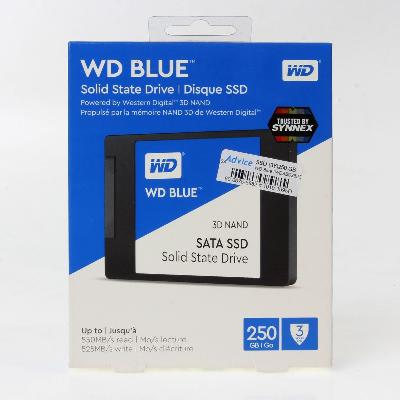 SanDisk 250 GB WD Blue 3D NAND SATA SSD