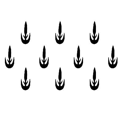 Comet Busters Indian Traditional Black Bindi (bin069)