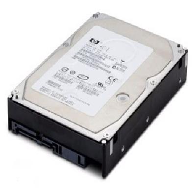 HP 500GB 3G SATA 7.2K rpm LFF (3.5-inch) Midline Hard Disk