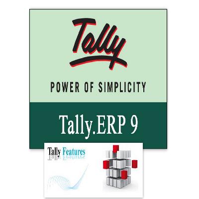 Tally Accounting Package