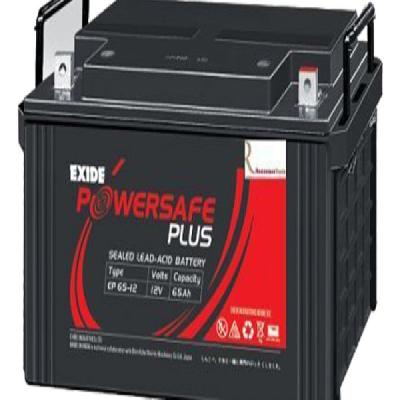 Exide UPS Battery