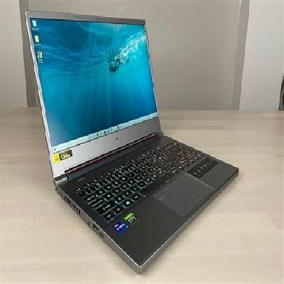 Acer Predator Triton 300
