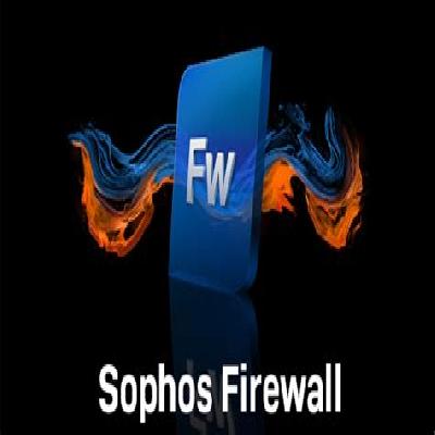 Sophos Firewall Network Service