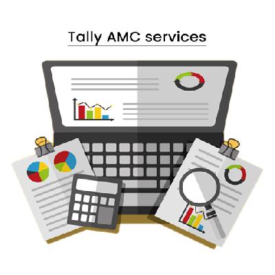 Tally AMC Service