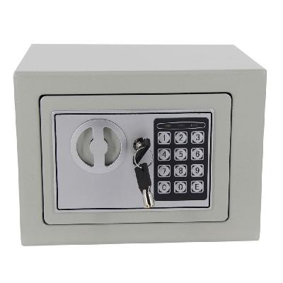 Electronic Safe Deposit Locker