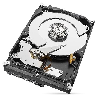 Seagate 4TB Skyhawk Hard Disk