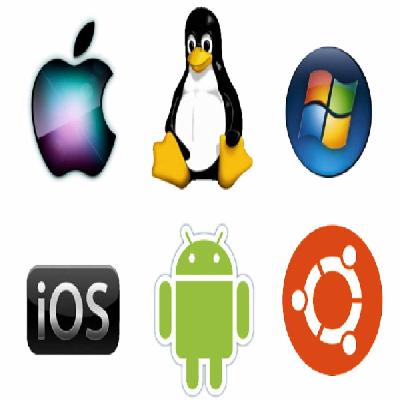 Operating System (OS)