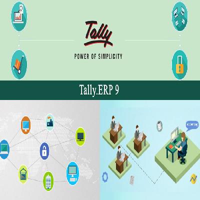 Tally Accounting Software