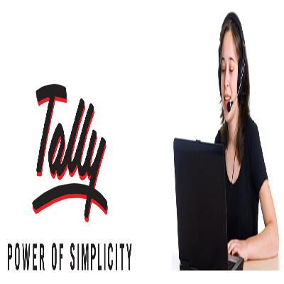 Tally Software Support
