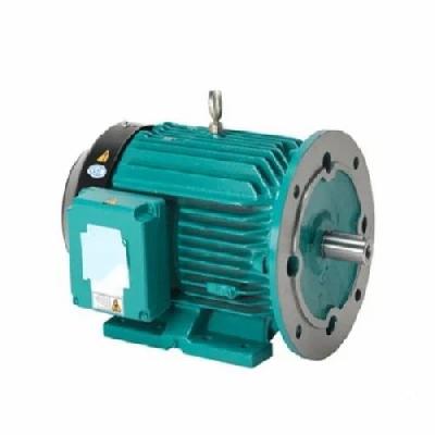 20 HP  960 RPM  Foot Mounted - Crompton Greaves (CG Power) 3 Phase Induction Motor