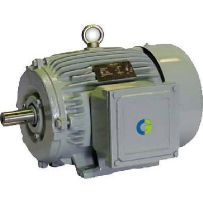 CG Power (Crompton) Make IE4 3 Phase Induction Electric Motors