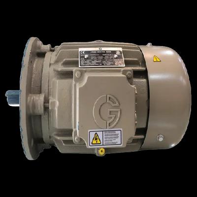 Crompton 3 Phase 215 Hp 160 Kw 1500 Rpm Foot Cum Flange Mount Non-Flp Motor