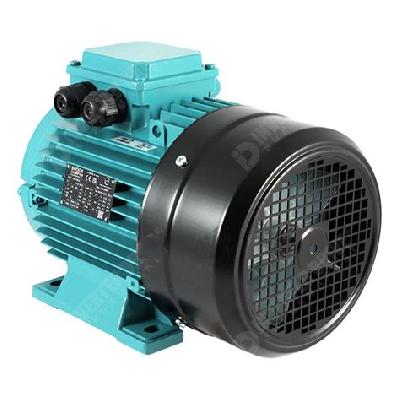 Crompton IE3 Motors