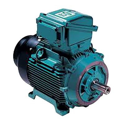 Crompton Make Single Phase Three Phase AC Induction Motor