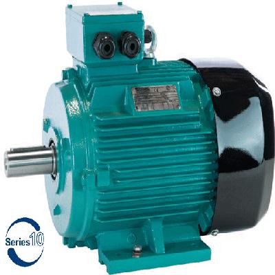Crompton Single Phase Electric Motor (CG Power Make)