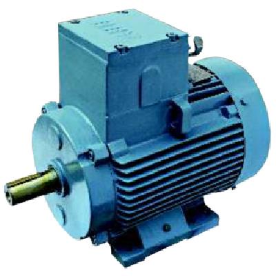 Flame Proof Motor