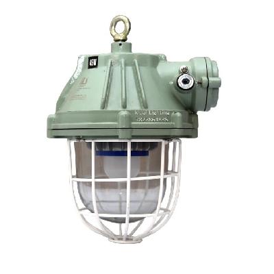 LED Flameproof Light - CMRI CIMFR Certified Well Glass 40 Watts