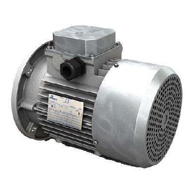 Three Phase Brake Duty Motor