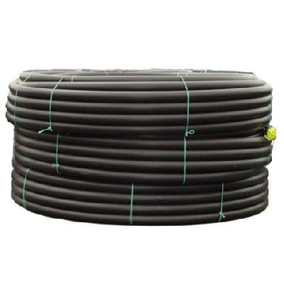 Lateral Tube