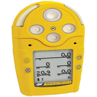 Portable Toxic Gas Detector