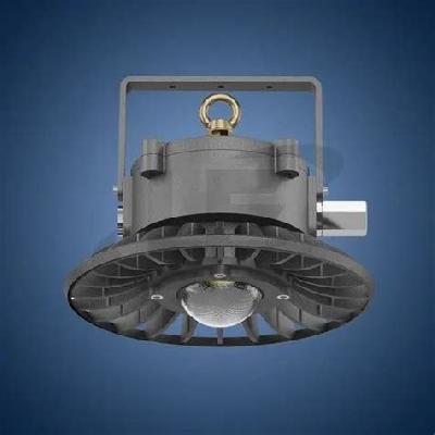 60W EELS LED COB Flood Light