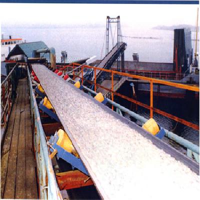 SEG Conveyor Belt Scale