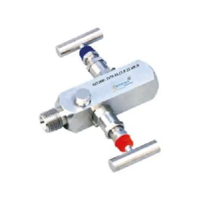 2 Valve Manifold Remote Mount Pipe
