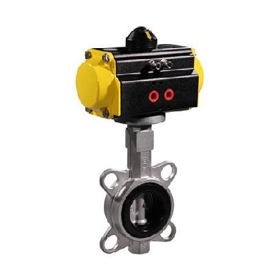 Butterfly Valve (Manual, Motorized, Pneumatic 