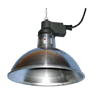 Heat Below Lamp