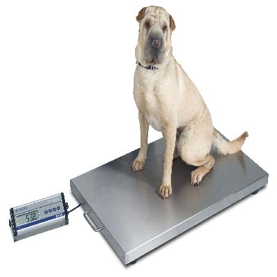 Animal Weighing Scale