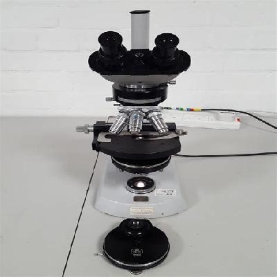 Carl Zeiss Binocular Stereozoom Microscope