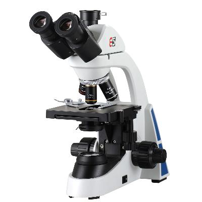 Trinocular Microscope