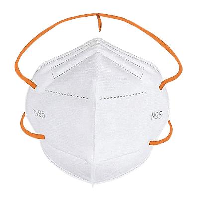 N95 Face Mask