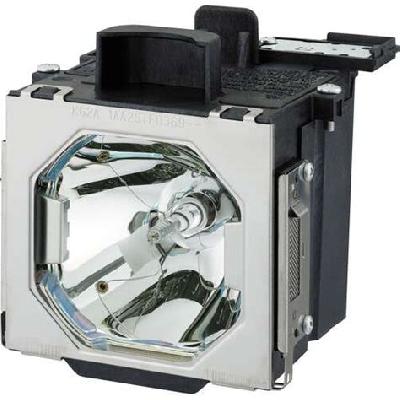 Projector Lamp - All Brands