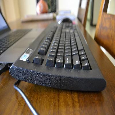 TVS Gold Black Keyboard Ps2 -Bharat