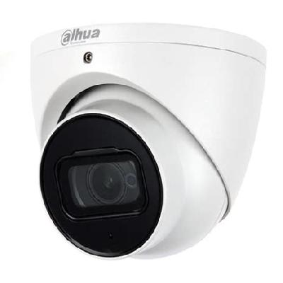 Dahua Dome Network Camera