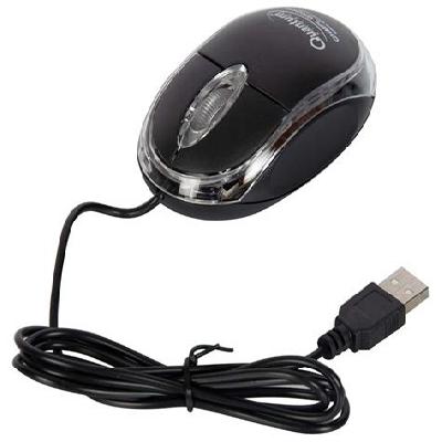 Quantum Wire Mouse
