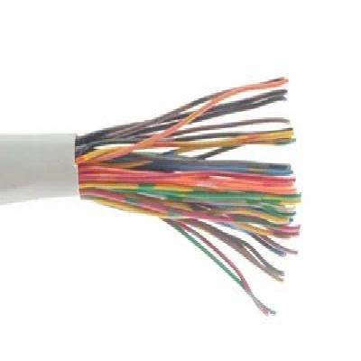 Delton 10 Pair Copper Cable