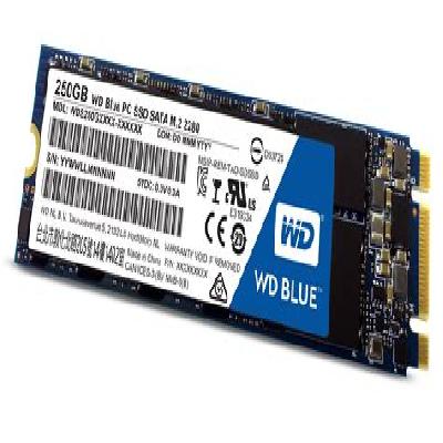 250GB WD Blue Solid State Drive