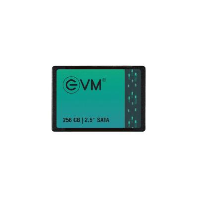 256GB EVM 2.5 SATA Solid State Drive