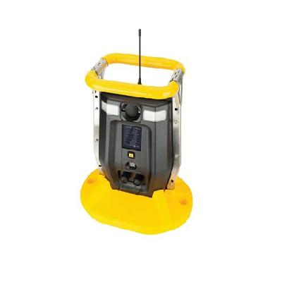 Wireless Gas Detector