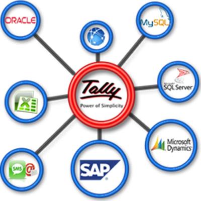 Tally Integration Software