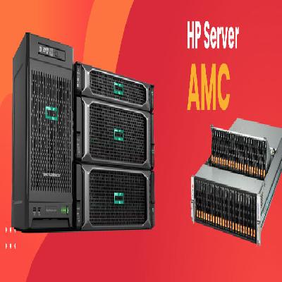 AMC Server Storage And Networking Support