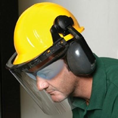 Face Shield and Ear Muff