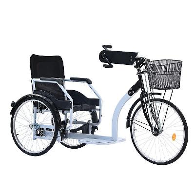 Handicapped Tricycle Manual