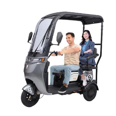 Manual Tricycle With Roof And Storage