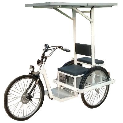 Solar Chargeable Handicapped Tricycle