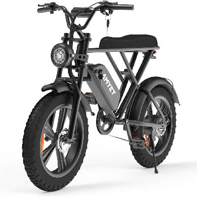 Fat Bike Double Shocker With Folding Option