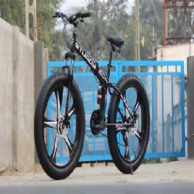 Fat Bike With Alloy Wheel