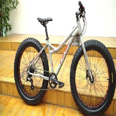 Fat Boy Alloy Lumala Bicycle